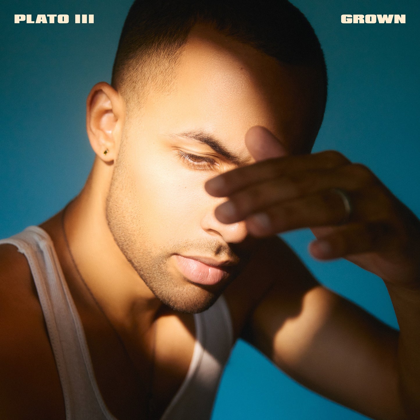 Plato III - Grown