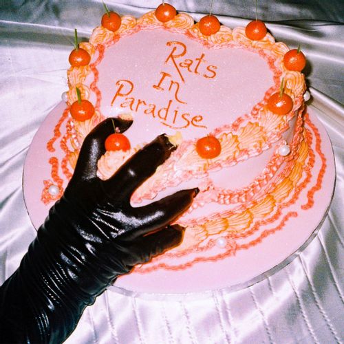 Breeze, Emily - Rats In Paradise