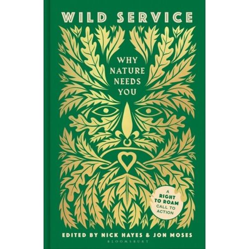 Hayes, Nick - Wild Service: A Culture Of Care