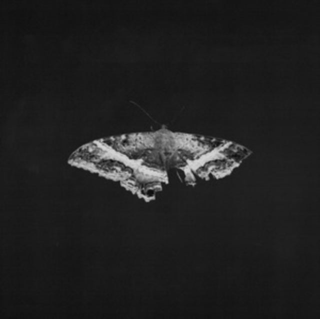 Lamar, Kendrick - To Pimp A Butterfly (10th Anniversary)
