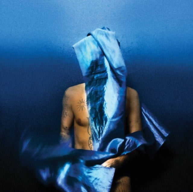 Banhart, Devendra - Flying Wig
