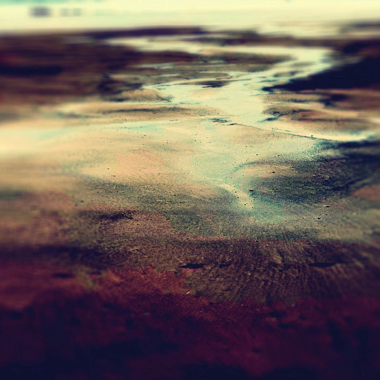 Yorke, Loula - Hydrology