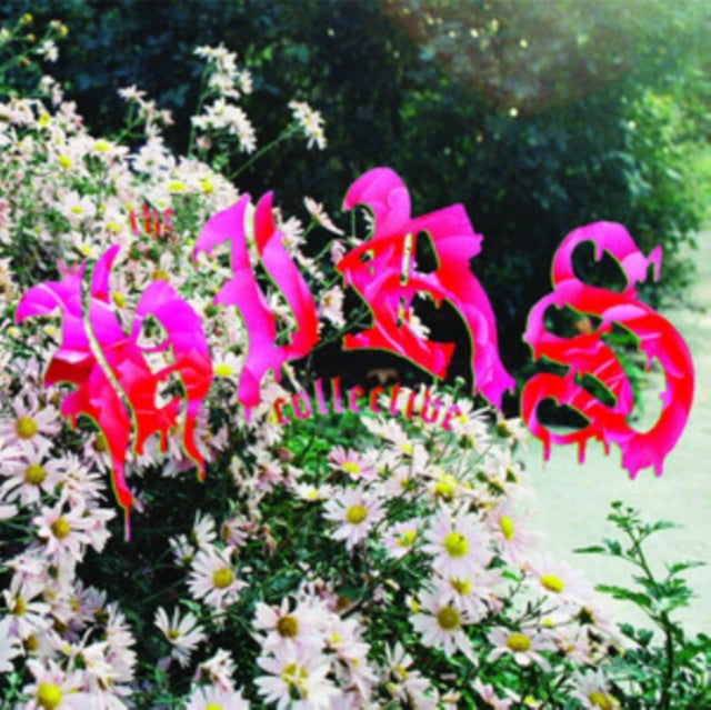 Hirs Collective, The - Friends. Lovers. Favorites (2025 Reissue)