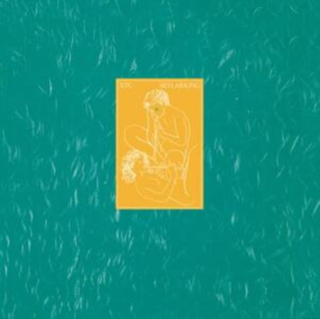 XTC - Skylarking (Steven Wilson Mix)
