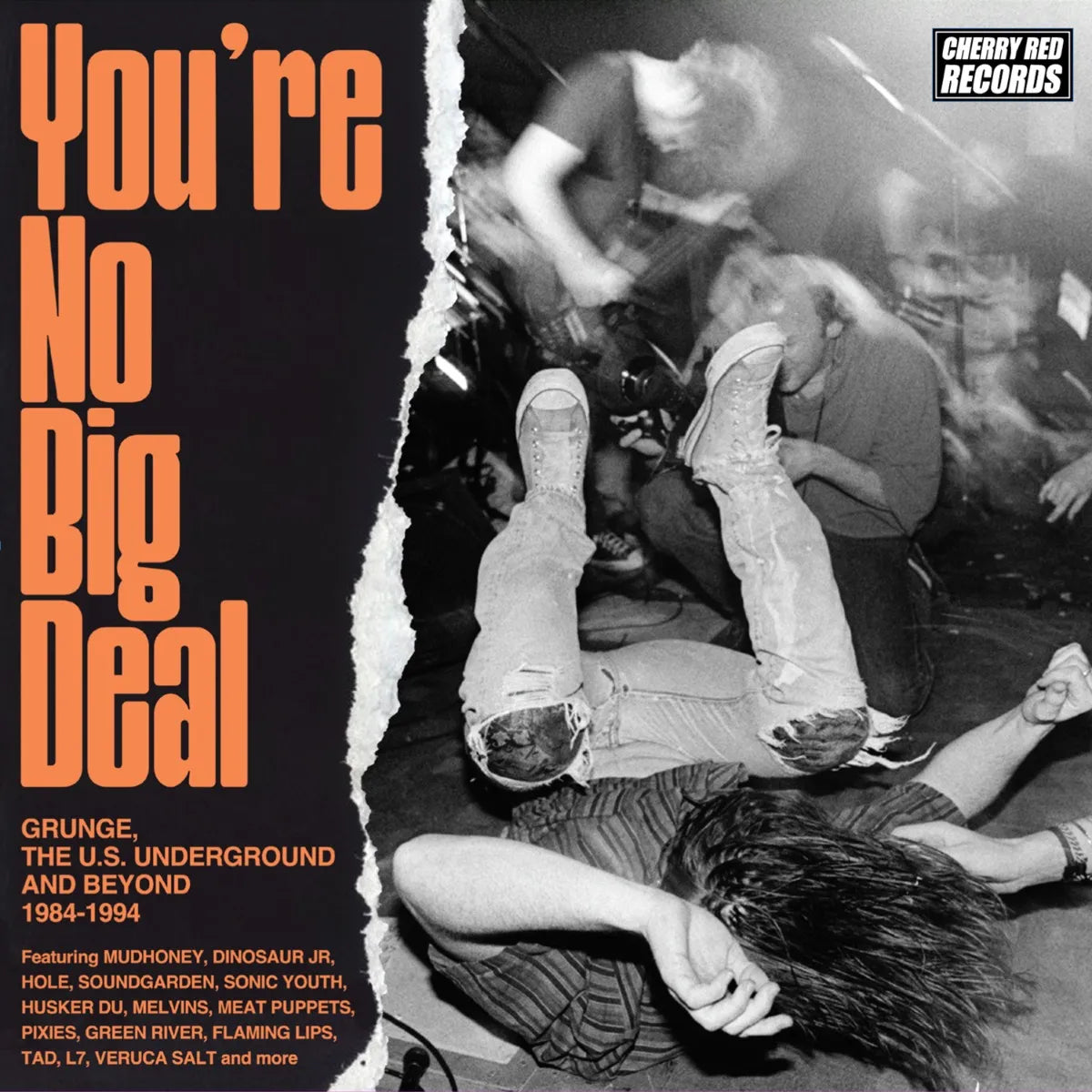 You're No Big Deal: Grunge, The U.S. Underground And Beyond 1984-1994 - Various Artists