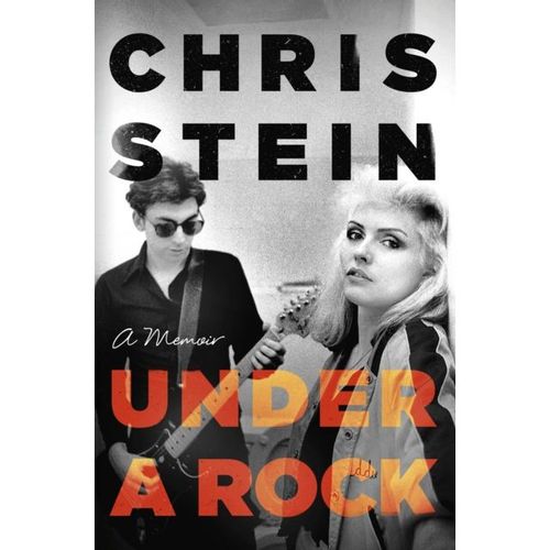 Stein, Chris - Under A Rock
