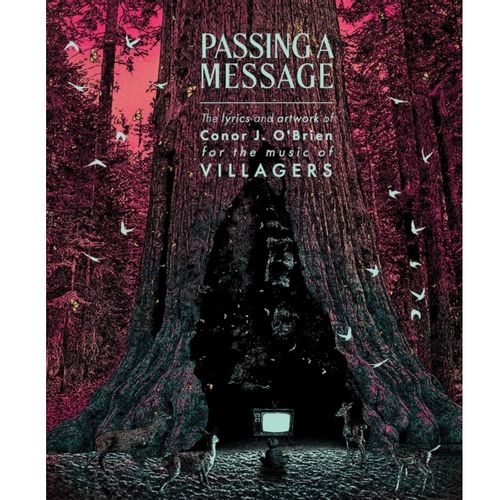 Villagers (Conor J. O’Brien) - Passing A Message: The Lyrics And Artwork Of Conor J. O'Brien For The Music Of Villagers
