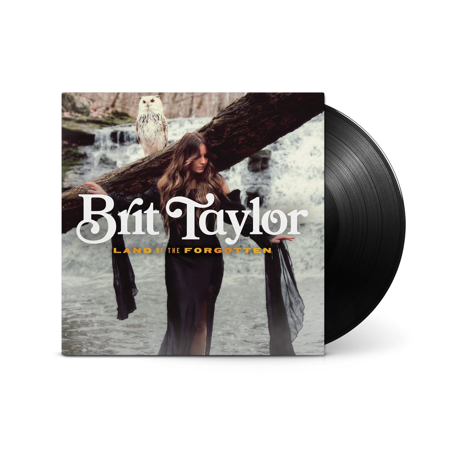 Taylor, Brit - Land Of The Forgotten