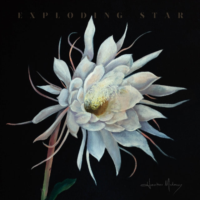 Maloney, Heather - Exploding Star