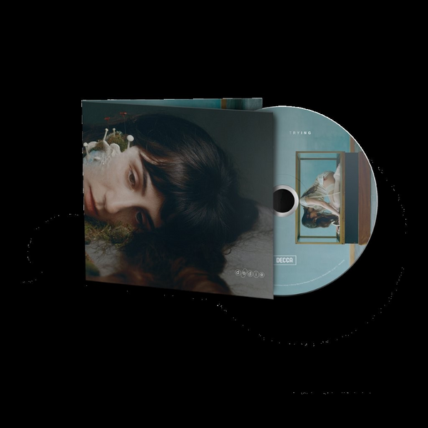 Dodie - Not For Lack Of Trying