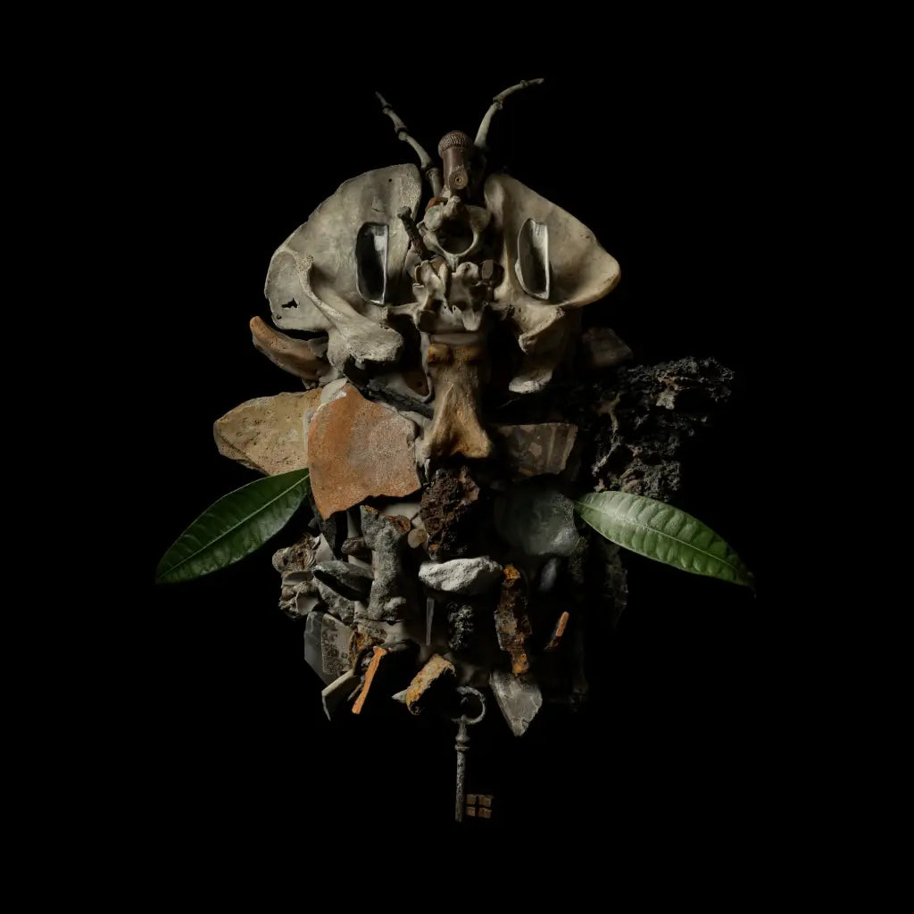 Fabris, Francesco - Displaces