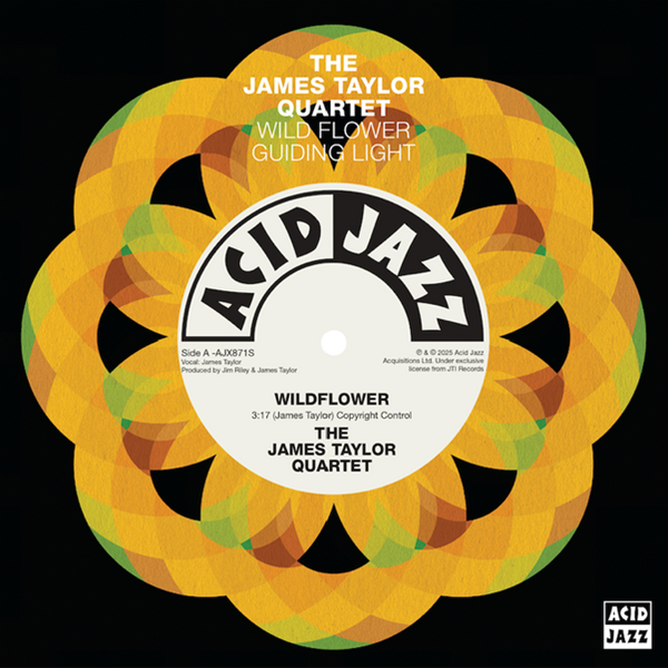 Taylor Quartet, The James - Wildflower / Guiding Light