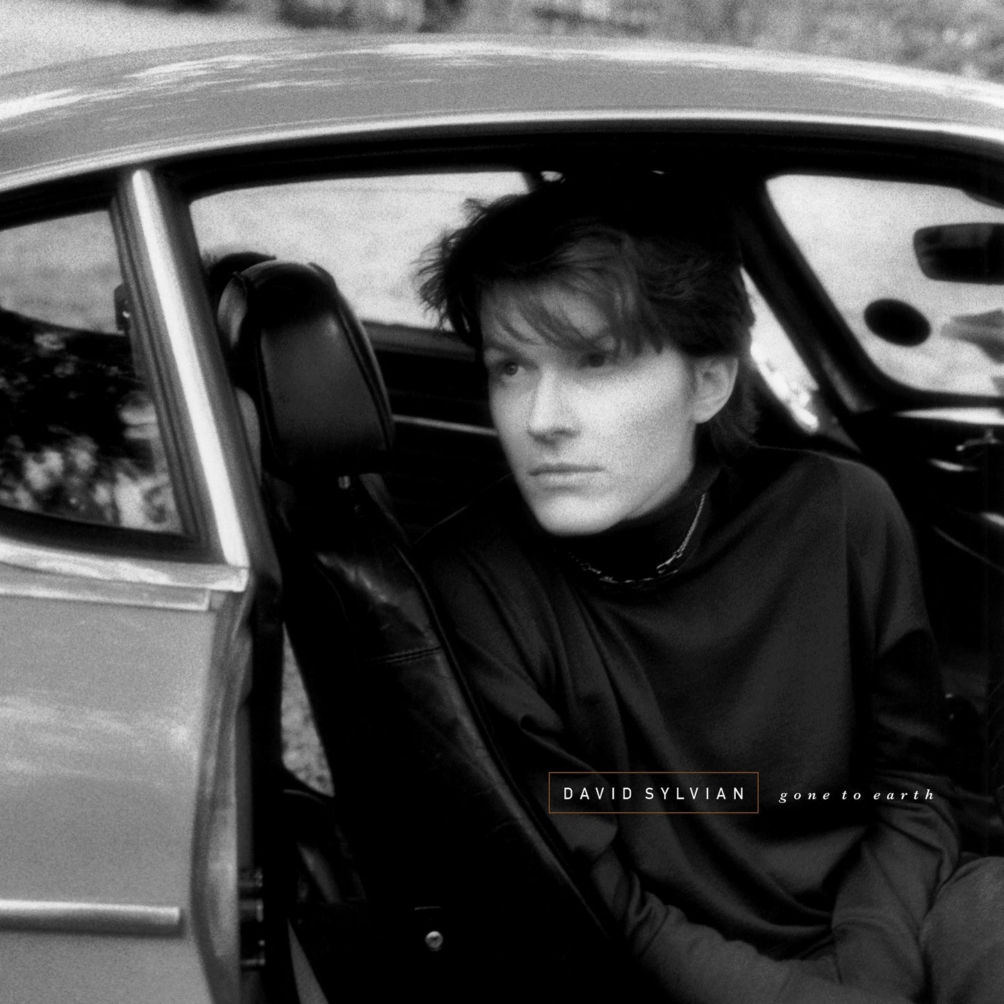 Sylvian, David - Gone To Earth (2025 Reissue)