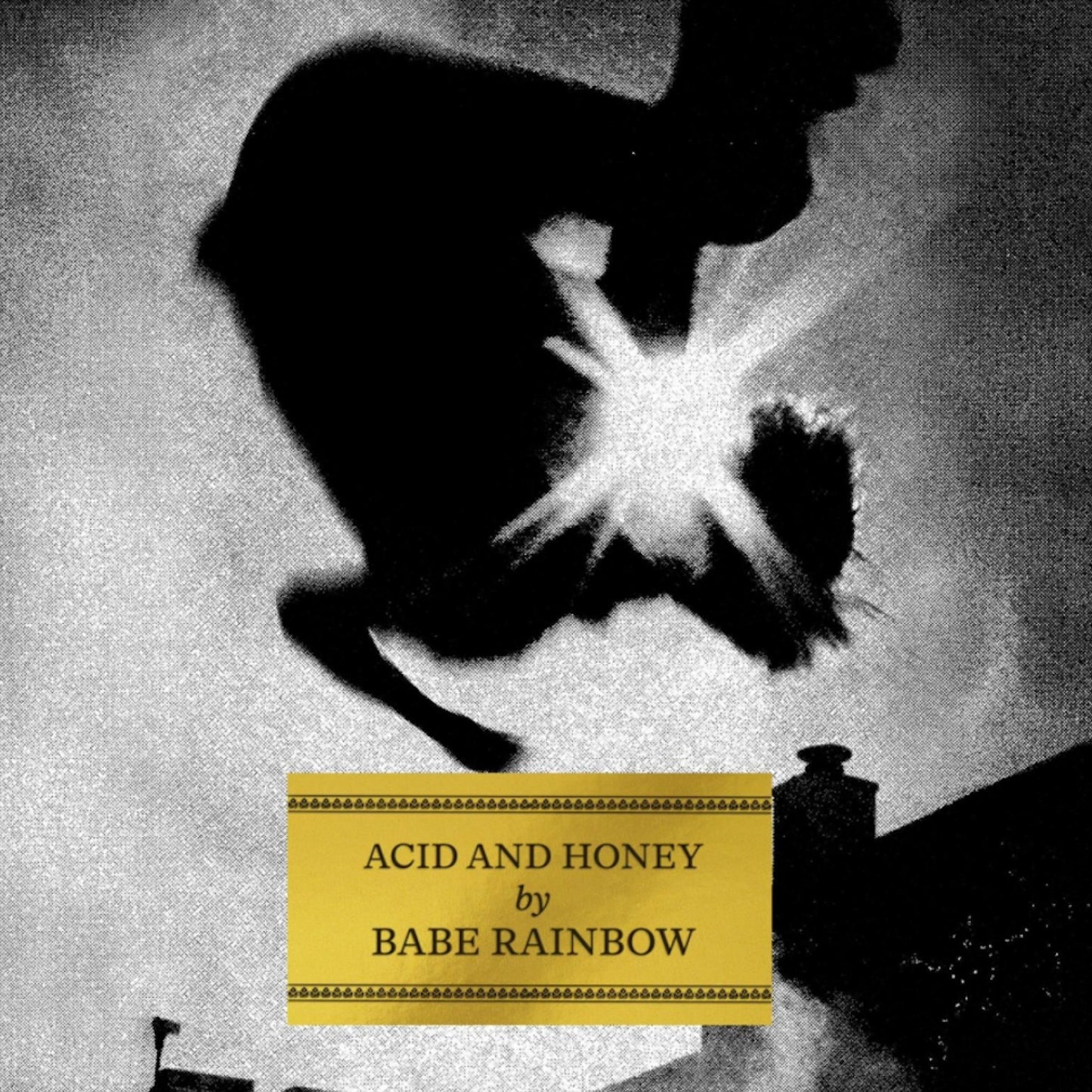 Babe Rainbow - Acid and Honey