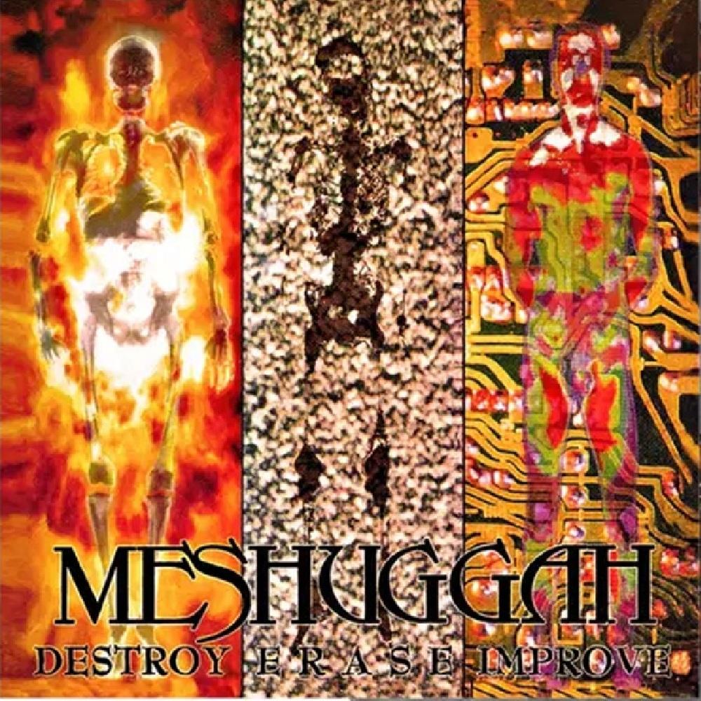 Meshuggah - Destroy Erase Improve (30th Anniversary Edition)