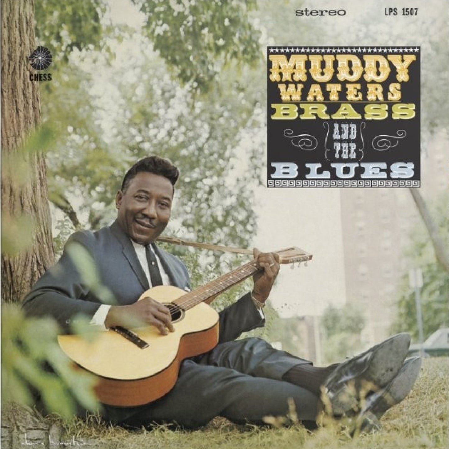 Waters, Muddy - Muddy, Brass And The Blues (Acoustic Sounds Series)