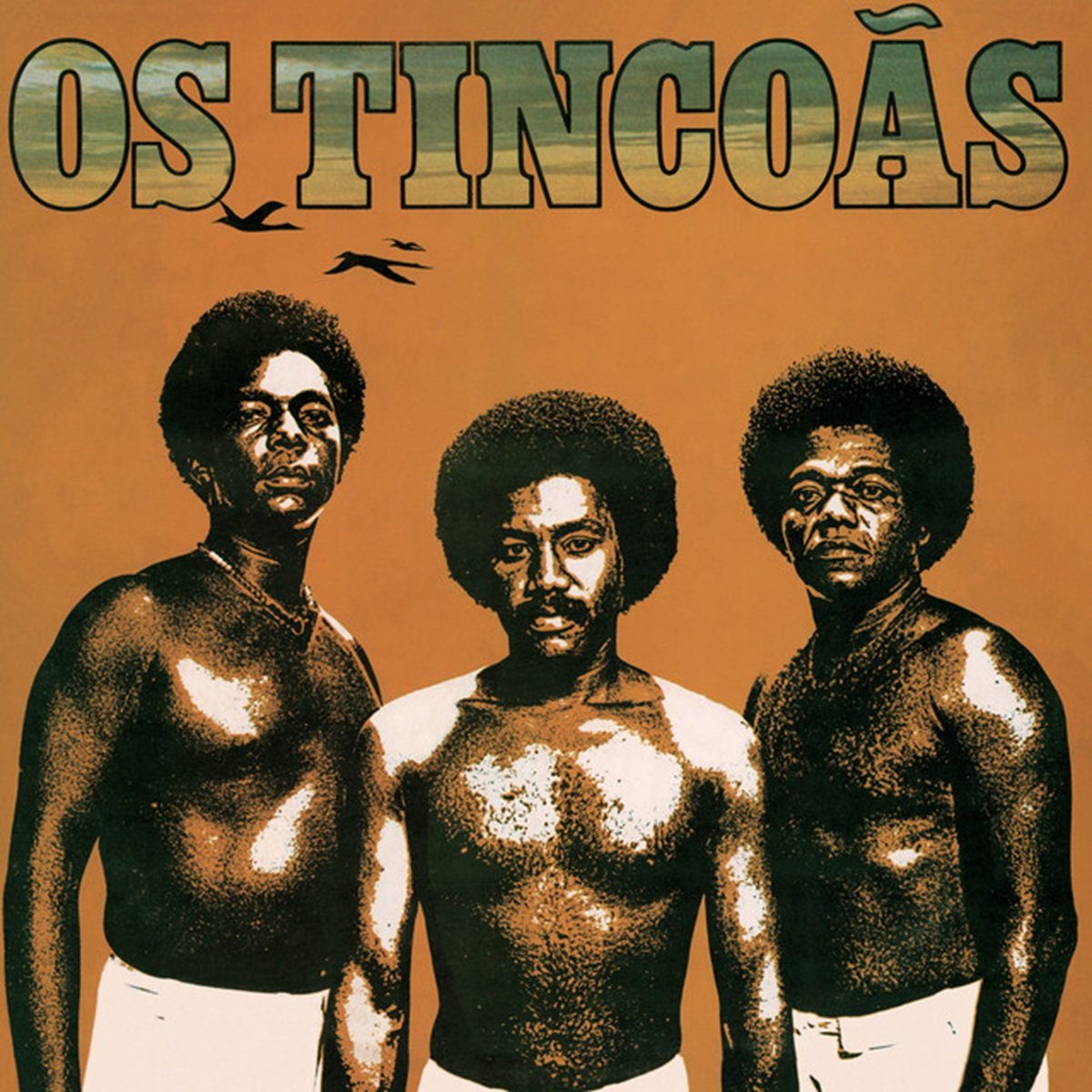 Os Tincoas - Os Tincoãs