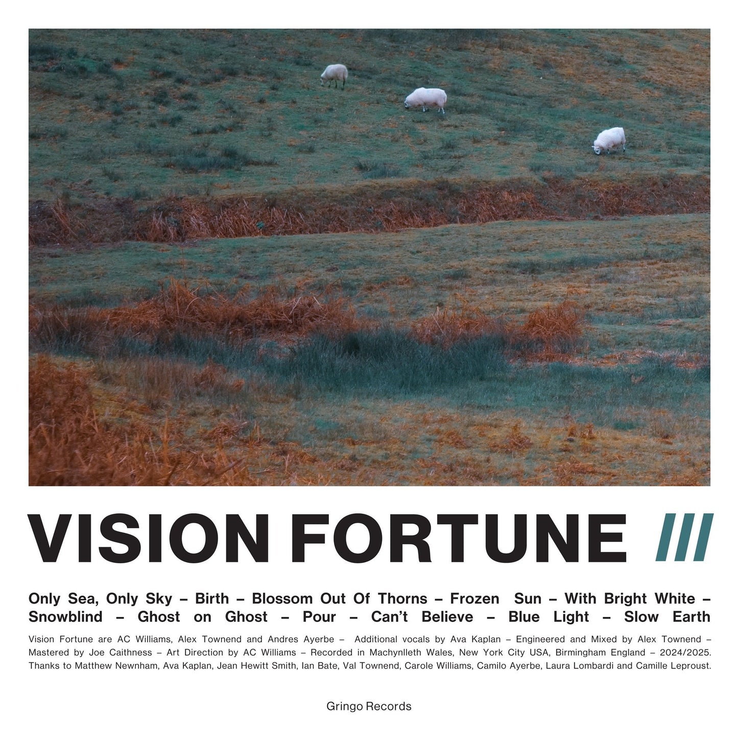 Vision Fortune - III