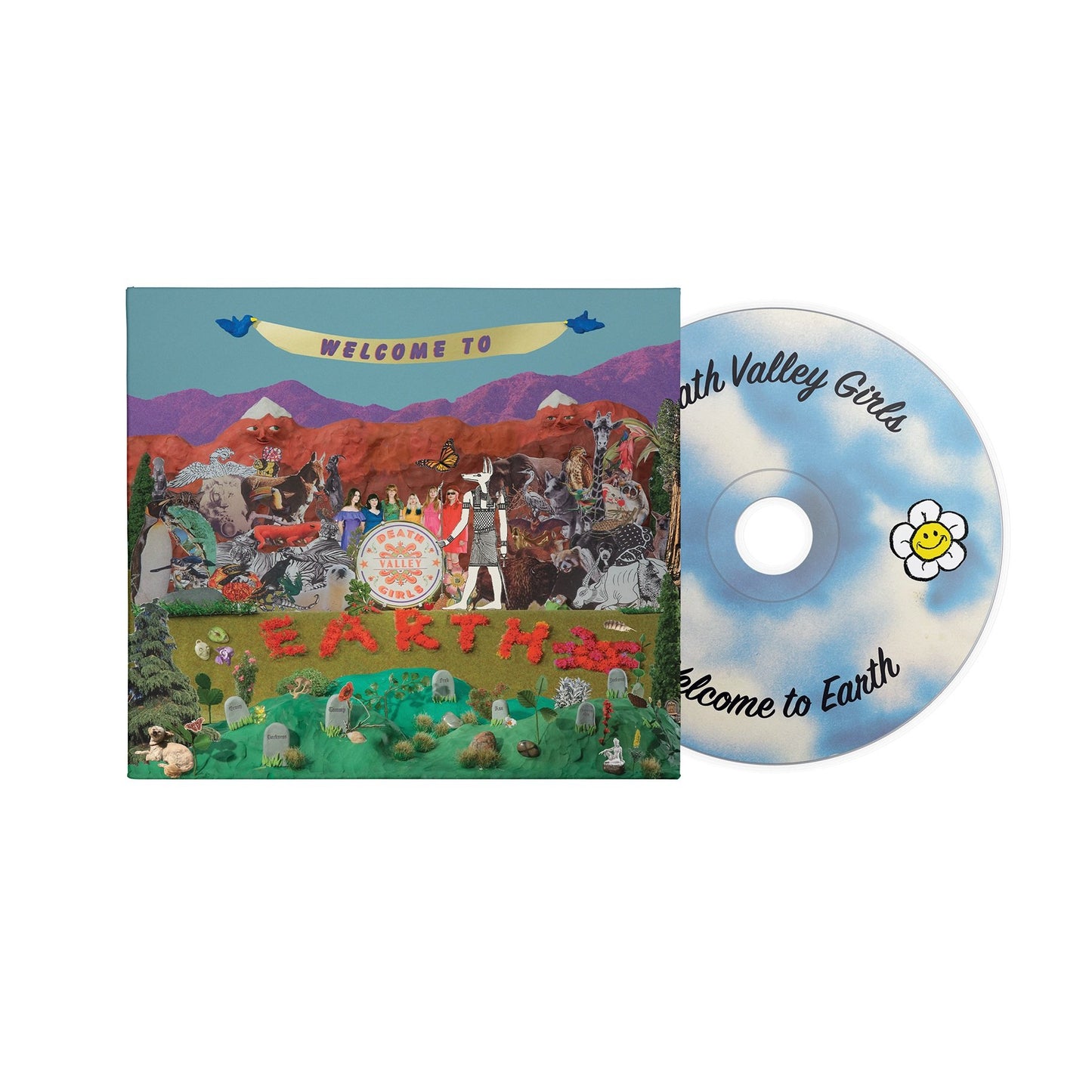 CD