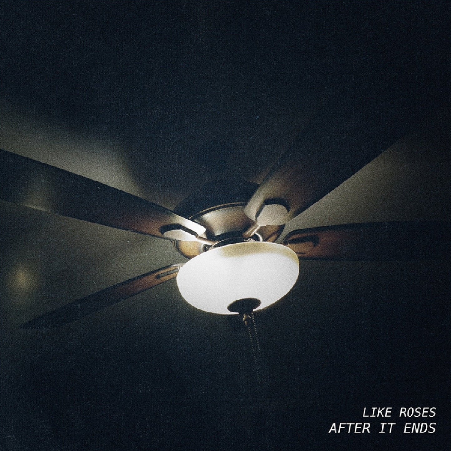 Like Roses - After It Ends