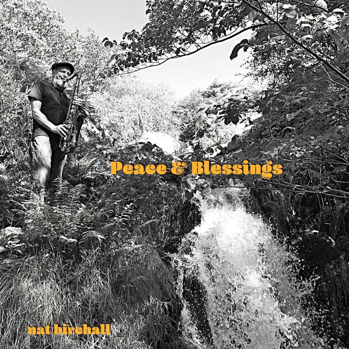 Birchall, Nat - Peace And Blessings