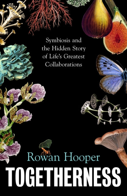 Hooper, Rowan - Togetherness