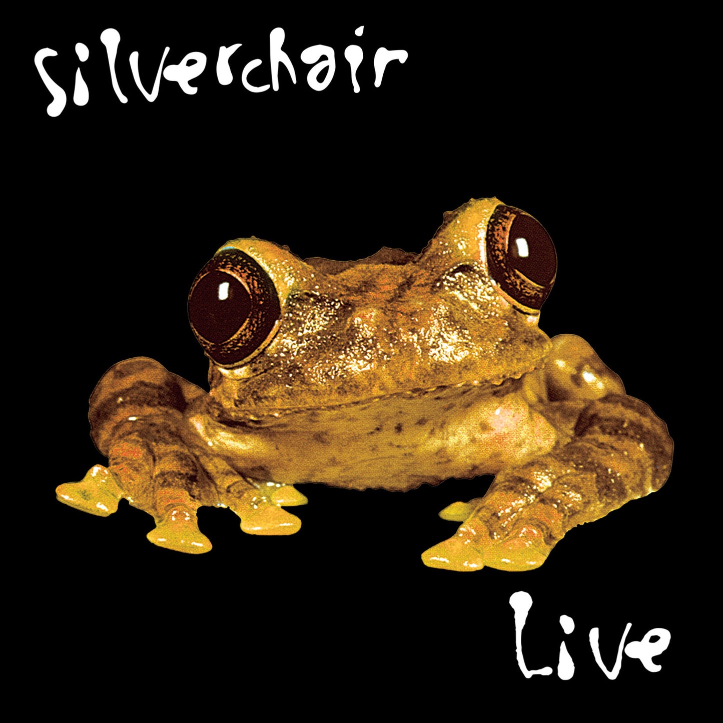 Silverchair - Live (At The Cabaret Metro)