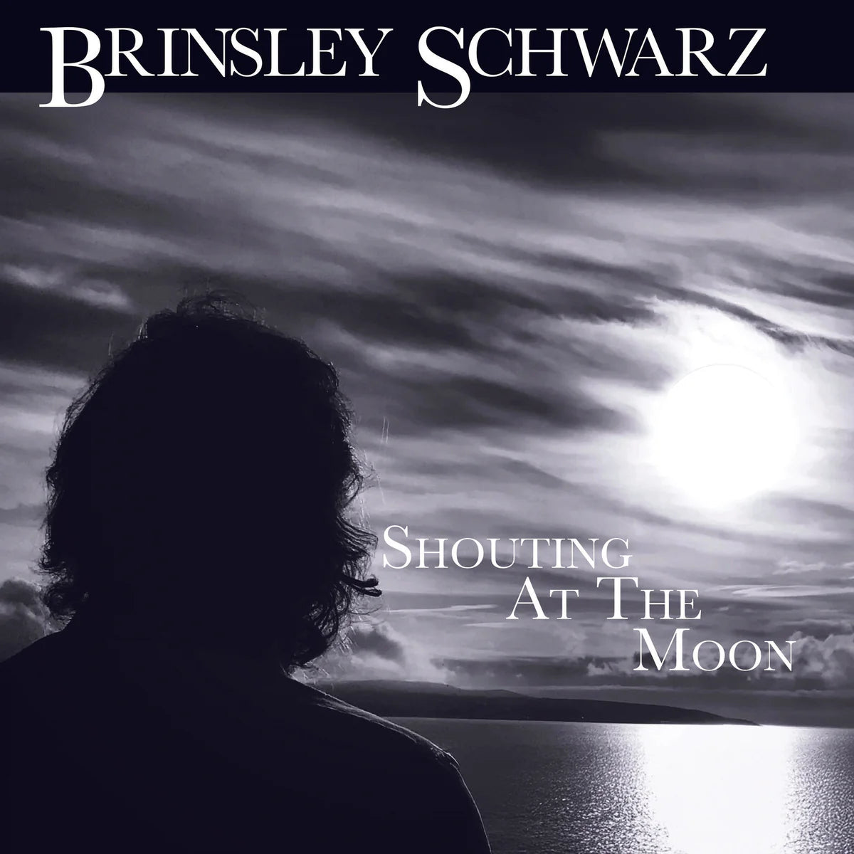 Schwarz, Brinsley - Shouting At The Moon