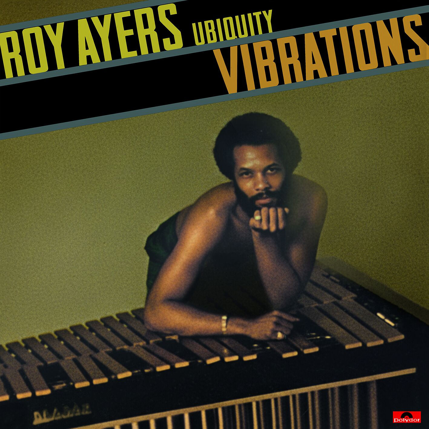 Ayers, Roy Ubiquity - Vibrations