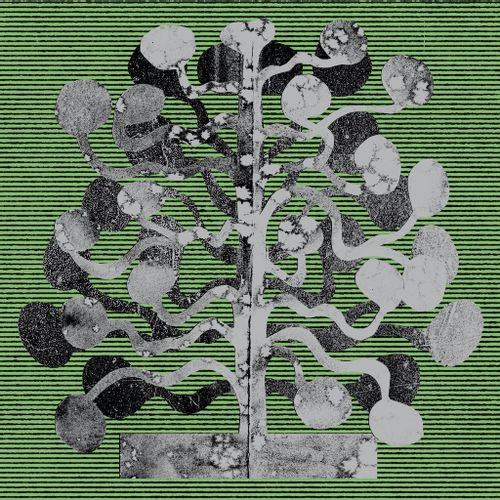 Andrews, Church & Matt Davies - Yucca