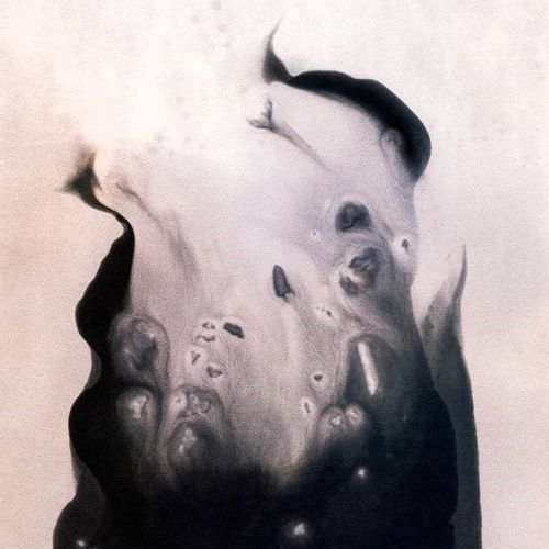 Hansen, Marla - Salt