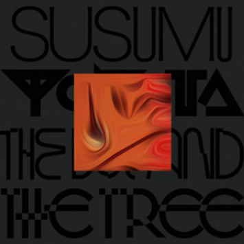 Yokota, Susumu - The Boy and The Tree (Skintone Edition)