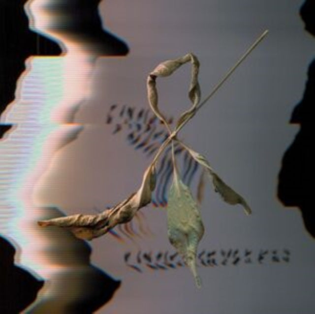 Gowdy, T. - Trill Scan