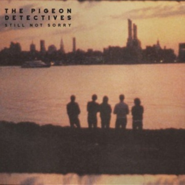 Pigeon Detectives, The - Still Not Sorry