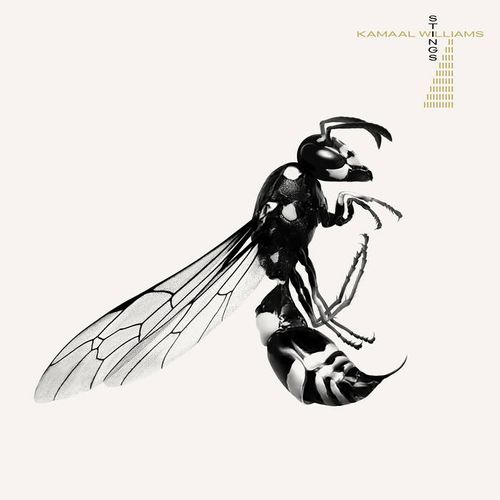 Williams, Kamaal - Stings