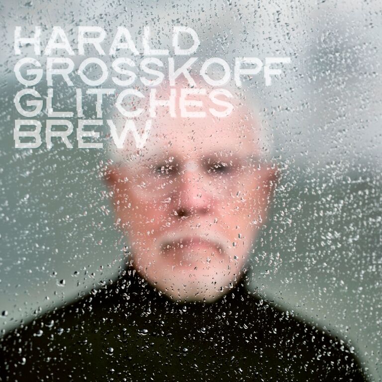 Grosskopf, Harald - Glitches Brew