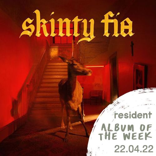 Fontaines D.C. - Skinty Fia