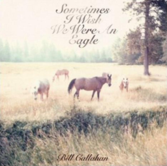 Callahan, Bill - Sometimes I Wish We Were An Eagle