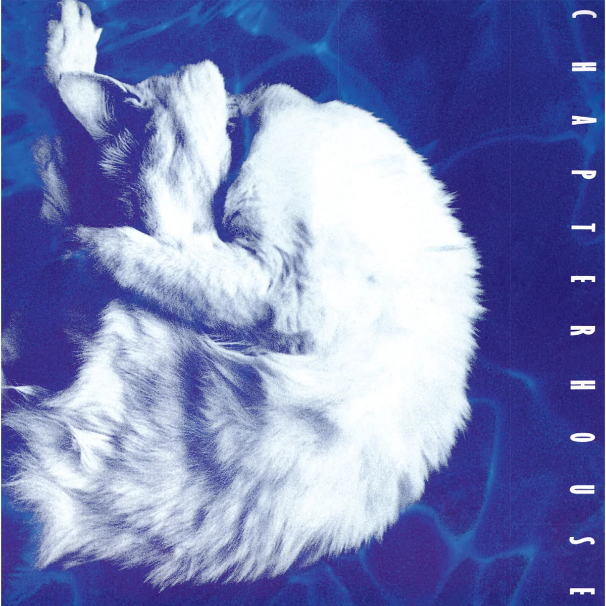 Chapterhouse - Whirlpool