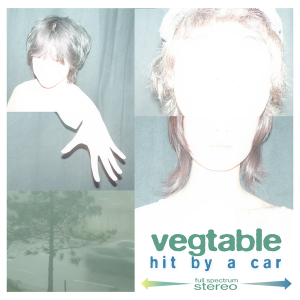 Vegetable - Hit By A Car