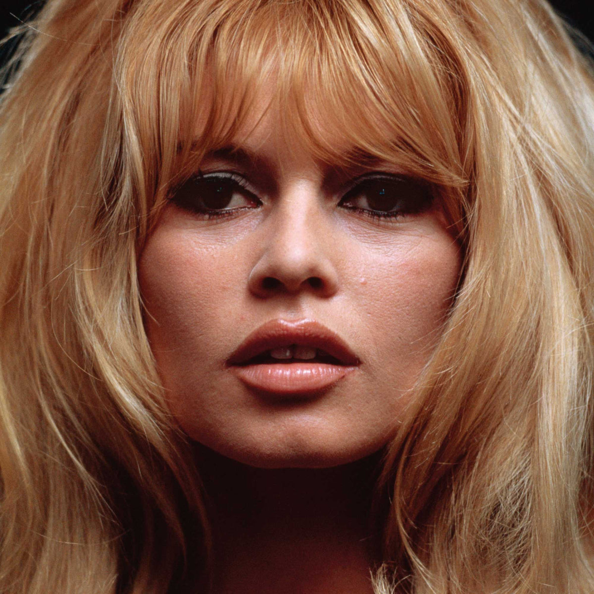Bardot, Brigitte - La Belle Et Le Blues