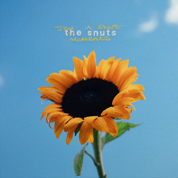 Snuts, The - Joy In Short Moments