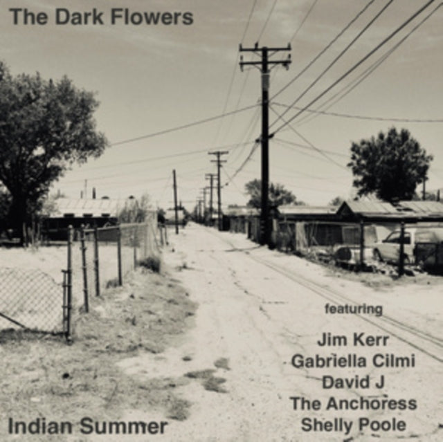 Dark Flowers, The - Indian Summer