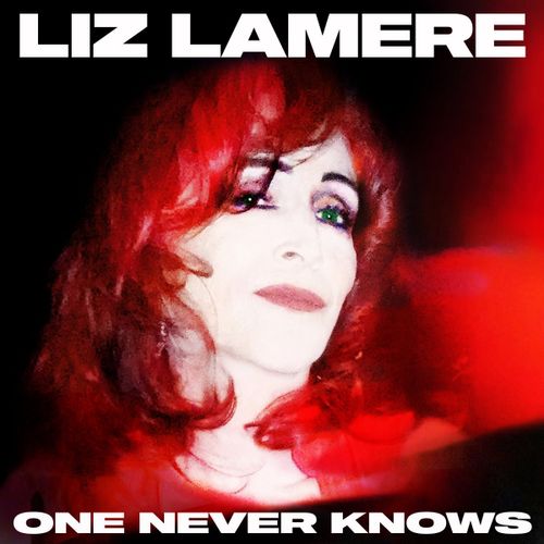 Lamere, Liz - One Never Knows