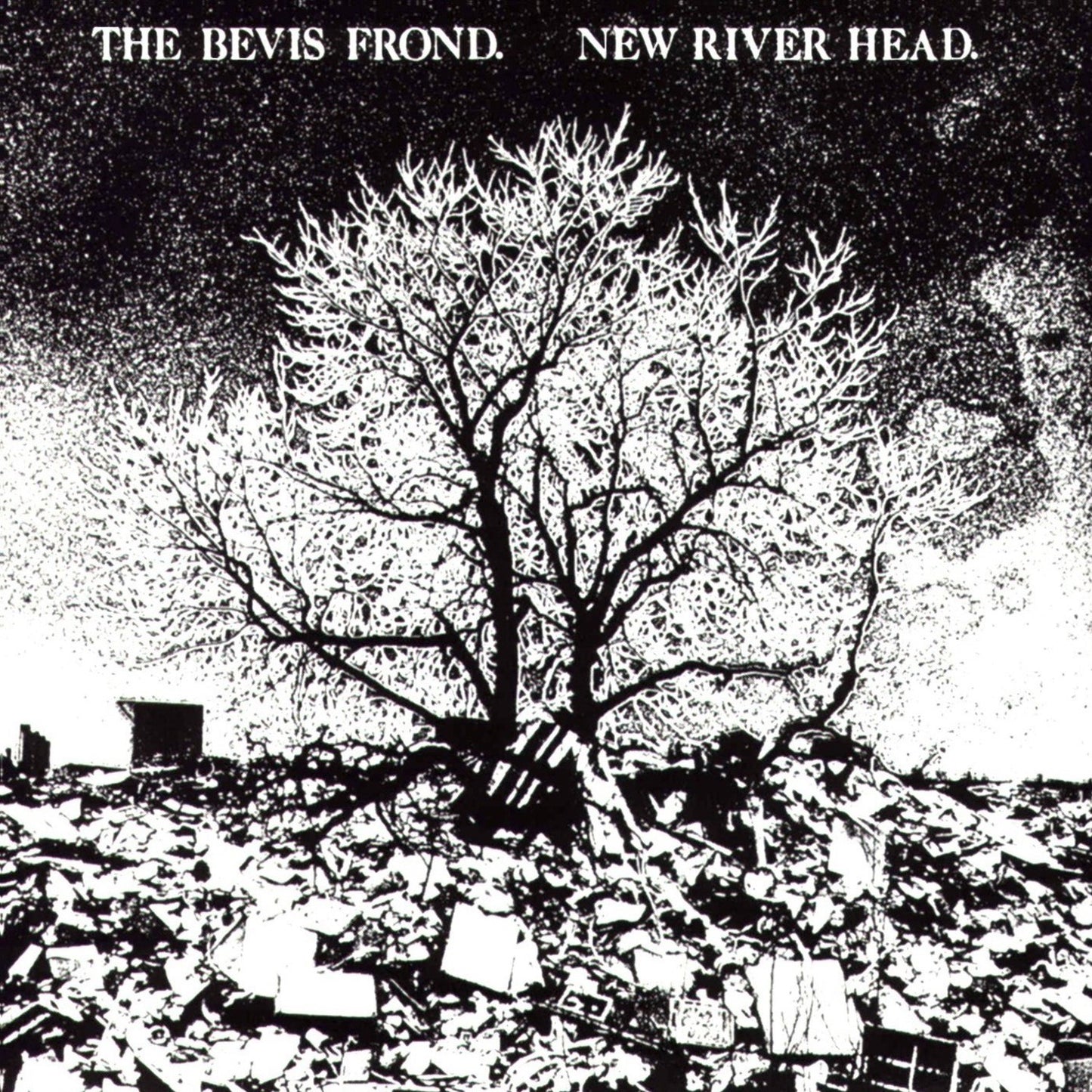 Bevis Frond, The - New River Head (2025 Reissue)