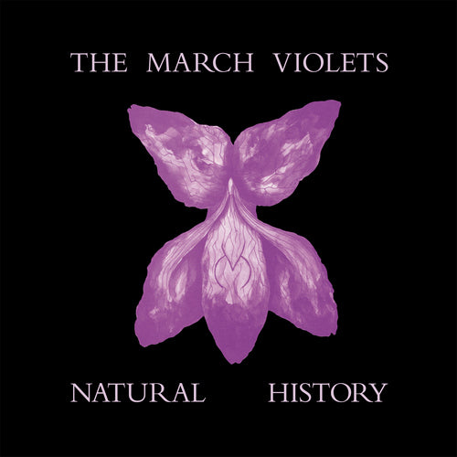 March Violets, The - Natural History (RSD 2026)