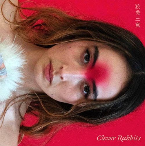 Cannon, Ann Liu - Clever Rabbits