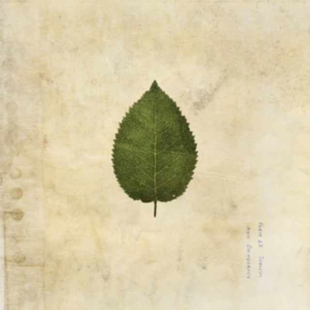 Boxer Rebellion, The - The Cold Still (2024 Repress)
