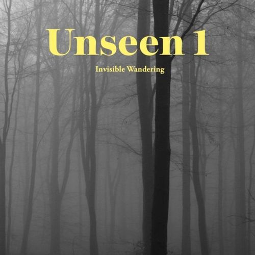 Unseen Zine - Unseen 1 - Invisible Wandering