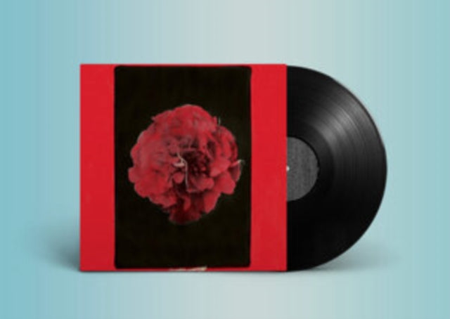 Activity - A Thousand Years In Another Way